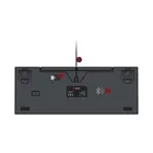 Savio Klawiatura mechaniczna Rampage Outemu Brown, anti-ghosting, RGB