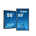 IIYAMA Monitor wielkoformatowy 55 cali T5562AS-B1 POJ.20PKT.24/7,VA,500cd,ANDROID8.0