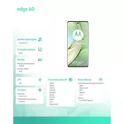 Motorola Smartfon Edge 40 8/256 zielony (Reseda Green)