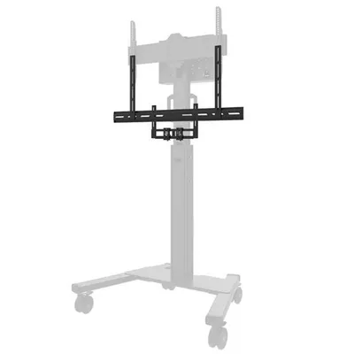 Neomounts by NewStar Uchwyt AV2-500BL