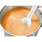Bosch Blender ręczny MSM6B150