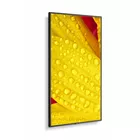 NEC Monitor wielkoformatowy MultiSync M431-2 43 cale UHD 500cd/m2 24/7