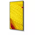 NEC Monitor wielkoformatowy MultiSync M431-2 43 cale UHD 500cd/m2 24/7