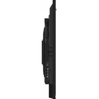 IIYAMA Monitor 55 cali TE5513A-B1AG INFRARED,40pkt,IPS,4K,7H,450cd/m2,      WiFi,USB, ANDROID 14, Google EDLA,2x20W, UCHWYT CIENNY