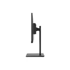 MSI Monitor 23.8 cala PRO MP242AP LED/FHD/Flat/100Hz/czarny