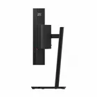 Lenovo Monitor 34 cale ThinkVision T34WD-40 64AEGAT1EU