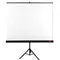 AVTek Ekran na statywie Tripod Standard 150 (1:2, 150x150cm, powierzchnia biała, matowa)