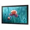 Samsung Monitor profesjonalny  QB13R 13 cali Matowy 16h/7 300(cd/m2) 1920x1080 (FHD) S6 Player Wi-Fi 3 lata d2d (LH13QBREBGCXEN)