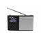 Eltra Radio ULA DAB+ kolor srebrny