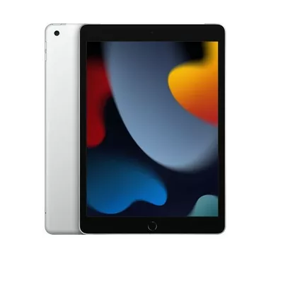 Apple iPad 10.2 cala Wi-Fi 256GB - Srebrny