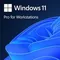 Microsoft OEM Win Pro for Wrkstns 11 PL  x64     HZV-00117