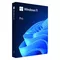 Microsoft Windows Pro 11 64bit PL USB Flash Drive Box HAV-00209