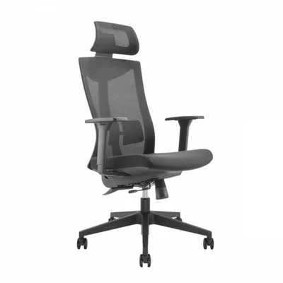 Maclean Krzesło biurowe ergonomiczne premium Ergo Office ER-414
