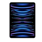 Apple iPad Pro 11 cali Wi-Fi + Cellular 2 TB Srebrny