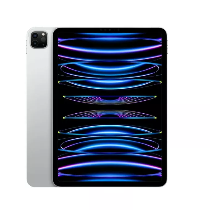 Apple iPad Pro 11 cali Wi-Fi + Cellular 2 TB Srebrny