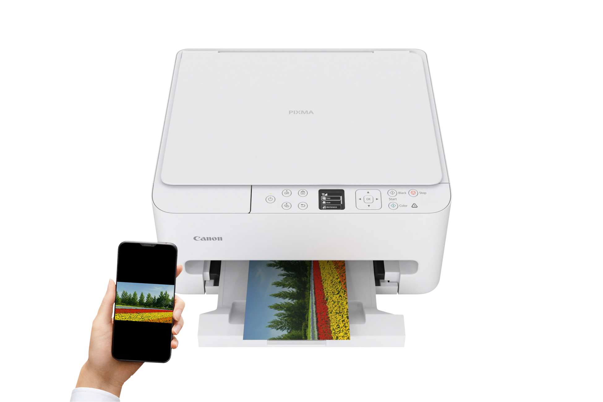 Canon Urządzenie wielofunkcyjne atramentowe TS6550i 7179C006